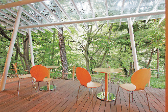 森のカフェ KISEKI