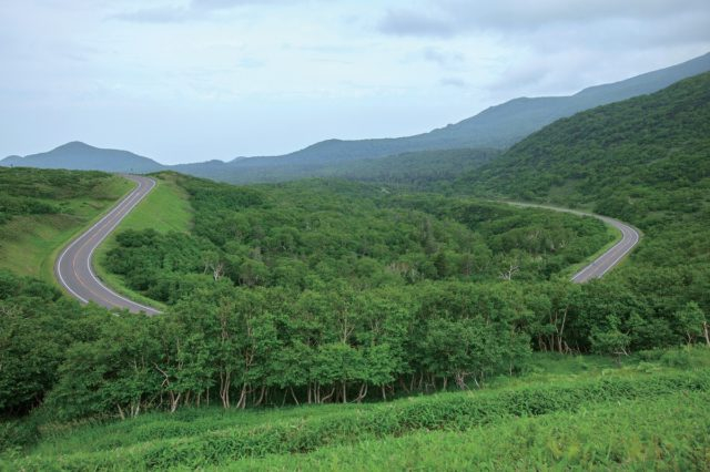 各種規制の多い知床の道路