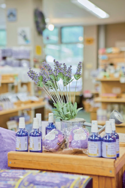 【みなかみ温泉郷&沼田×観光 2日目】10:30 たんばらラベンダーパーク