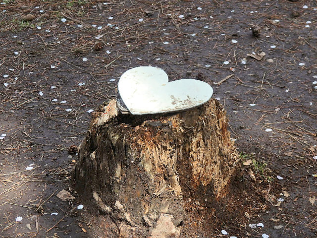 #ハートに見える桜