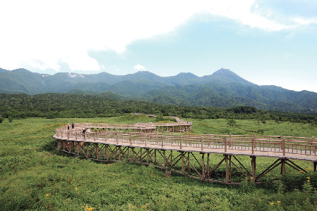 高架木道を歩く