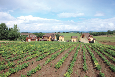 スプウン谷のザワザワ村