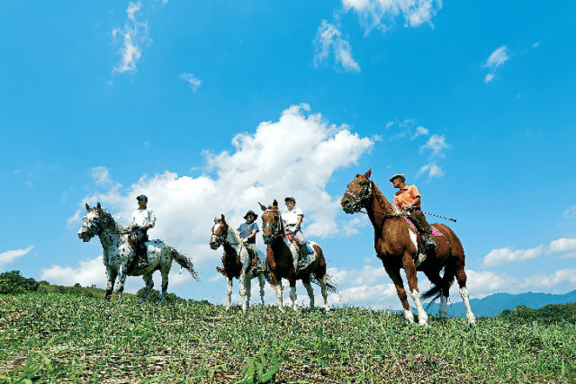 スケジュール例