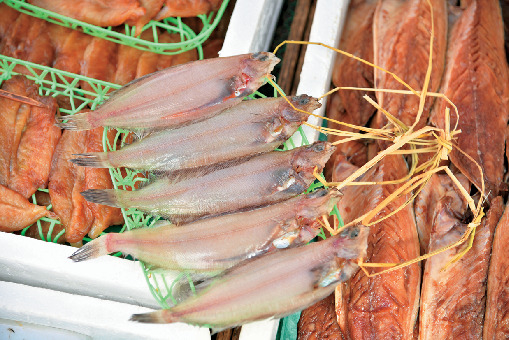 【輪島朝市×ショッピング】干物