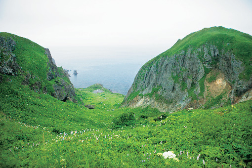 【桃岩展望台コースの見どころ】桃岩展望台