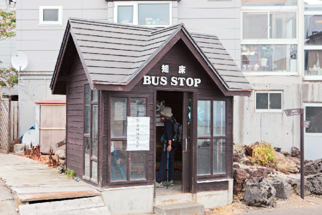 【桃岩展望台コースの見どころ】緑の向こうの海岸線