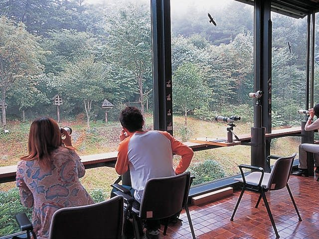 【遠刈田温泉の観光スポット】野生の鳥を間近で観察「ことりはうす」