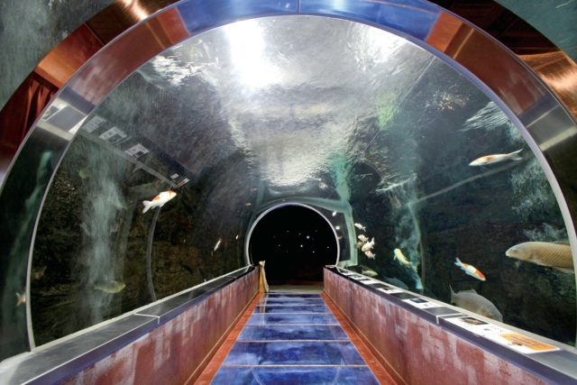 【諏訪峡ハイキング×諏訪峡コース】3 道の駅 水紀行館