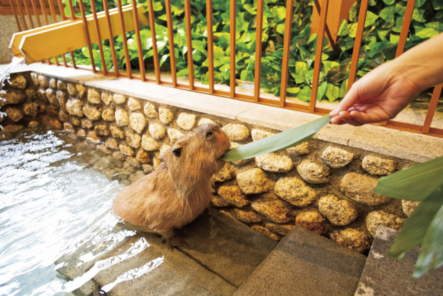 【西の河原通り】草津温泉おさるの湯もみ処~おさ湯~