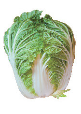 宮城野菜の豆知識