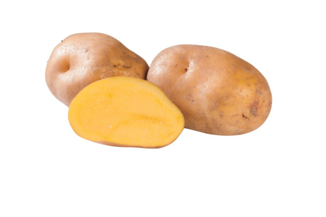 北海道はじゃがいもの 一大生産地!