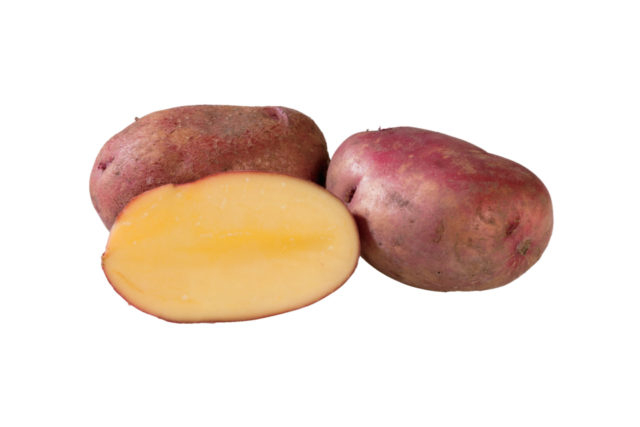 北海道はじゃがいもの 一大生産地!