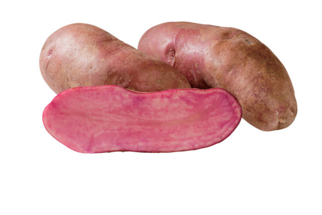 北海道はじゃがいもの 一大生産地!