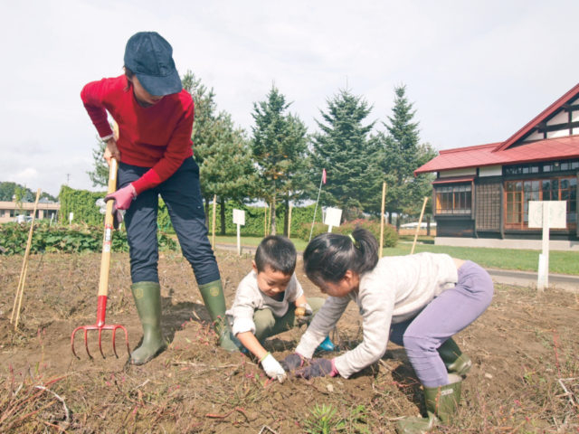 じゃがいも掘りやいも団子作りも楽しい