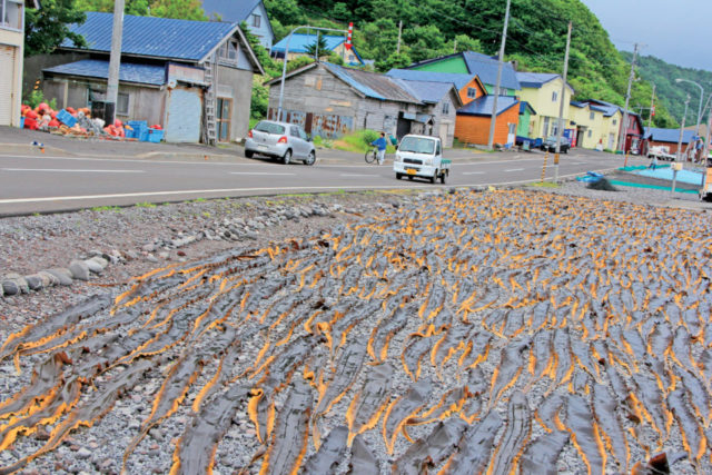 昆布漁の風景が見られるのは7~9月
