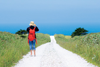 【宗谷岬の見どころ】宗谷丘陵