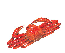 一年を通して味わえる北海道はカニ王国