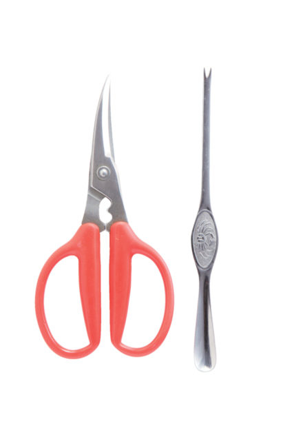 最後までおいしく!毛ガニの食べかた