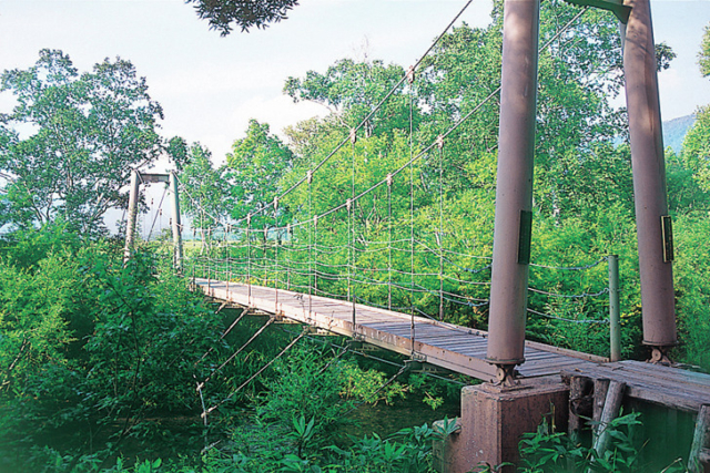 【尾瀬ハイキング×尾瀬ヶ原日帰りコース】5.ヨッピ吊り橋