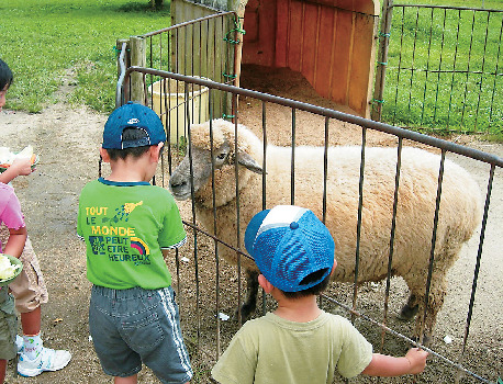 那須千本松牧場