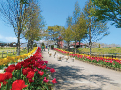 イベントもいっぱい!