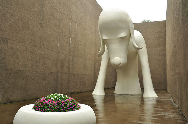 青森県立美術館で会える巨大作品、あおもり犬