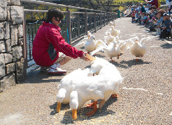 イベントもいっぱい!