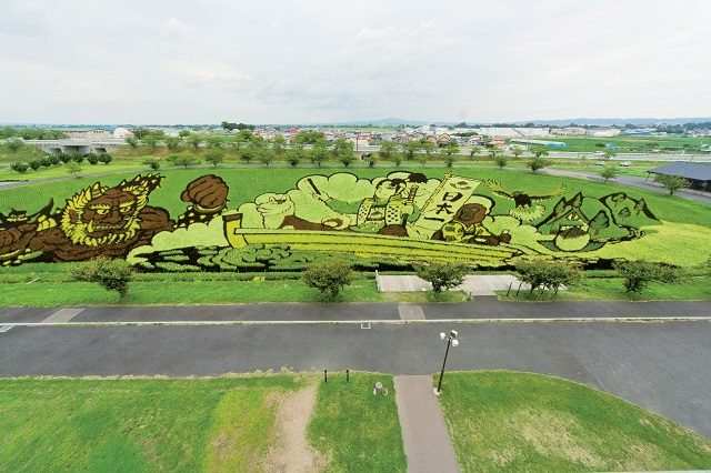 田んぼが魅せる芸術!田んぼアート