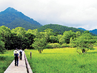 3 小田代原展望台