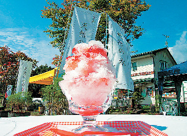 【日光・霧降高原×ドライブ】3.チロリン村 Café OWLで天然のかき氷のデザートを