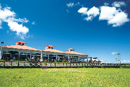 【栃木・那須どうぶつ王国×王国グルメ】バーベキューガーデン