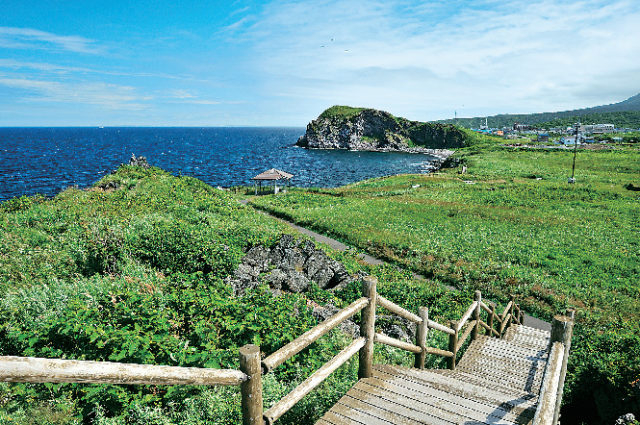 【利尻島×ドライブ】富士野園地