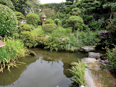 江戸情緒を今も残す屋敷と庭園「高橋家」