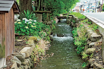 小幡城下を貫き約1㎞続く水路「雄川堰」