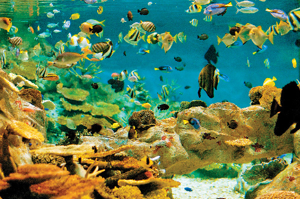 【青森タウンの周辺エリア】浅虫温泉