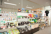 【利尻島×ドライブ】鴛泊港フェリーターミナル