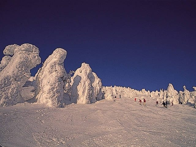 空中散歩で蔵王の自然を満喫「蔵王ロープウェイ」
