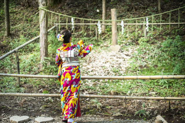 【日光・二荒山神社×有料エリア】楽しい運試し2