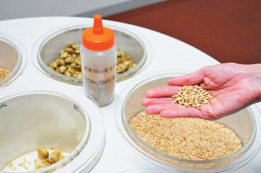 コレが人気!工場見学ツアー