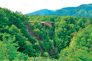 この季節もCheck!夏