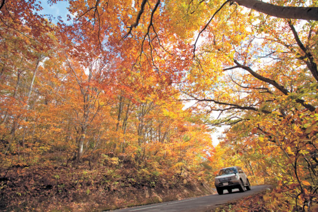 八甲田・十和田ゴールドライン