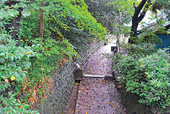 NHK「ブラタモリ」で紹介! 四ツ谷用水