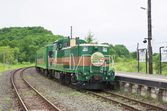 【釧路湿原×ビュースポット】釧路湿原を列車の中から見る