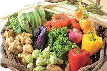 ファミリーで楽しめるホテルバイキング「森のテーブル」