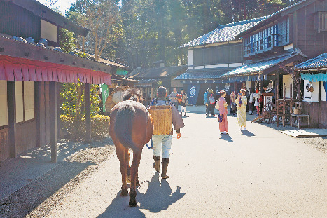 【日光・那須×鬼怒川】EDO WONDERLAND 日光江戸村