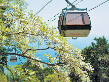 【マウントジーンズ那須ゴンドラ×山頂トレッキング】ゴヨウツツジ展望台コース