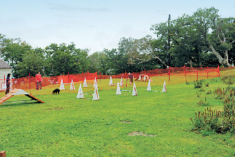 【ゴンドラで山頂トレッキング×ゴヨウツツジ展望台コース】山頂駅のお楽しみ♪