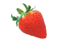 【那須高原】高原野菜おいしさのヒミツ