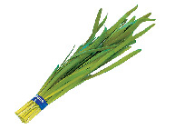 【那須高原】高原野菜おいしさのヒミツ