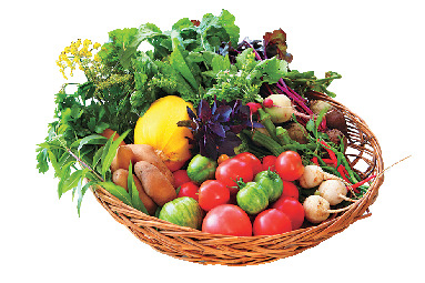 自然派創作料理を贅沢に味わって「Ours Dining」